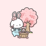 Spring Blossoms Collection