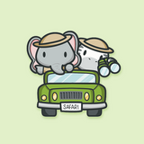 Safari Adventure Collection
