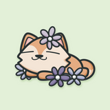 Spring Foxes Collection