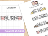 Three Little Pigs Months 2 Planner Stickers