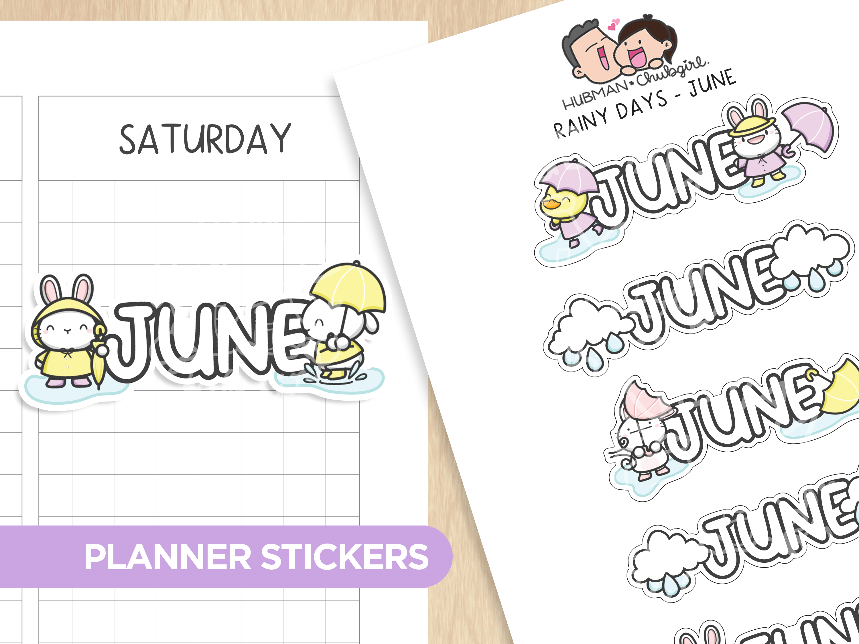 Rainy Days - Months 2 Planner Stickers