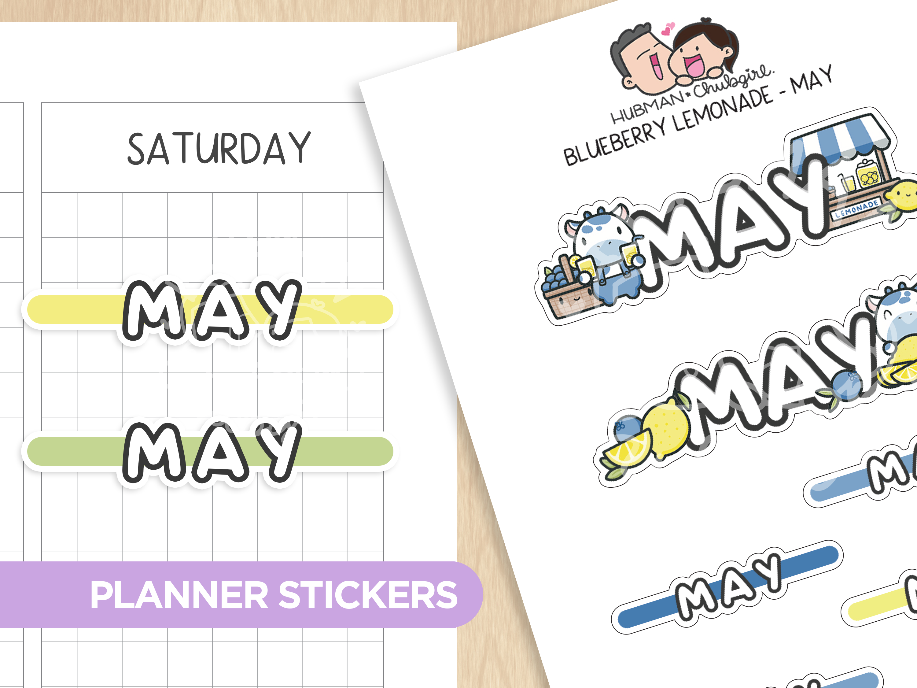 Blueberry Lemonade Month Planner Stickers