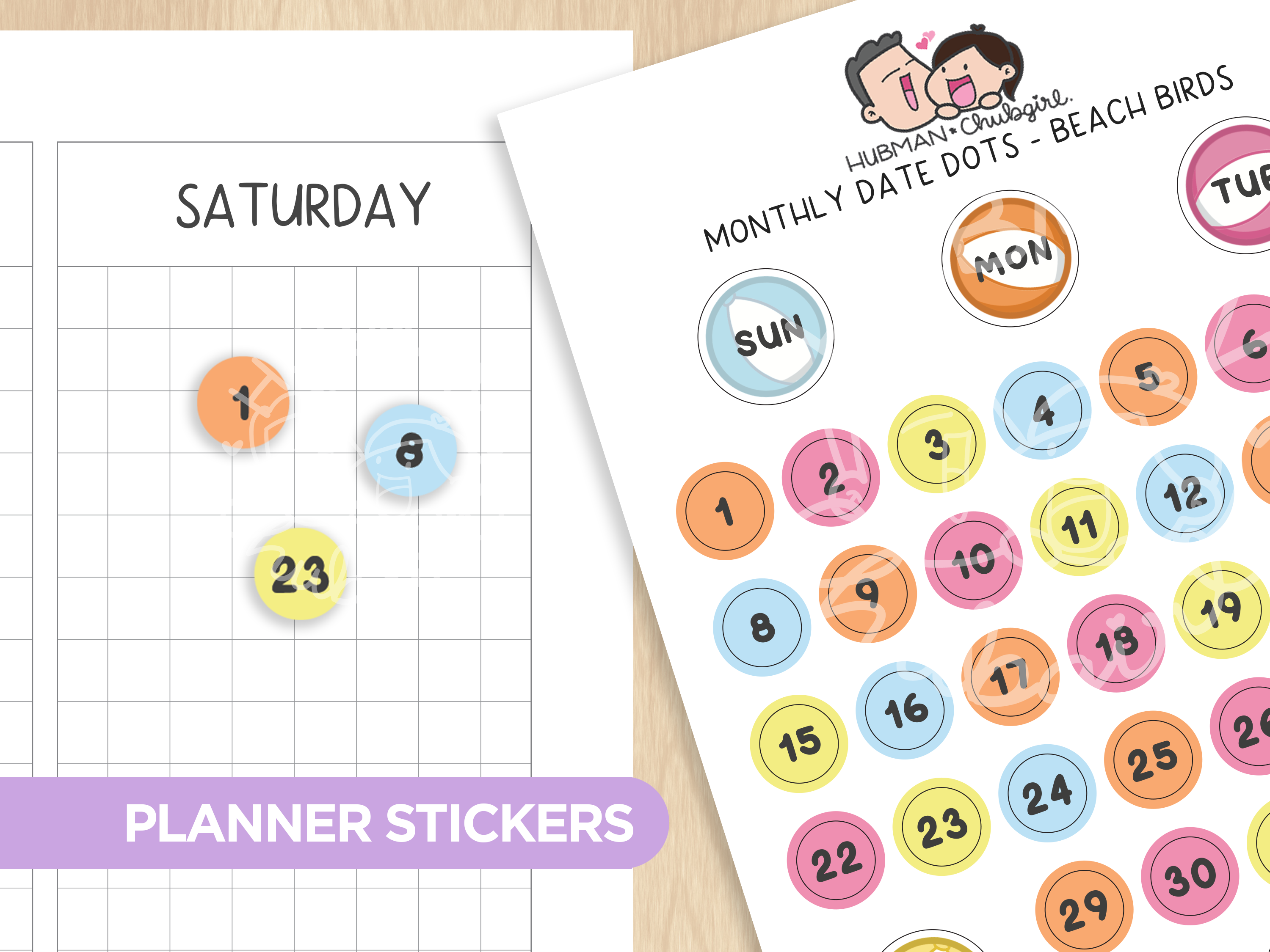 Monthly Date Dots - Beach Birds Planner Stickers
