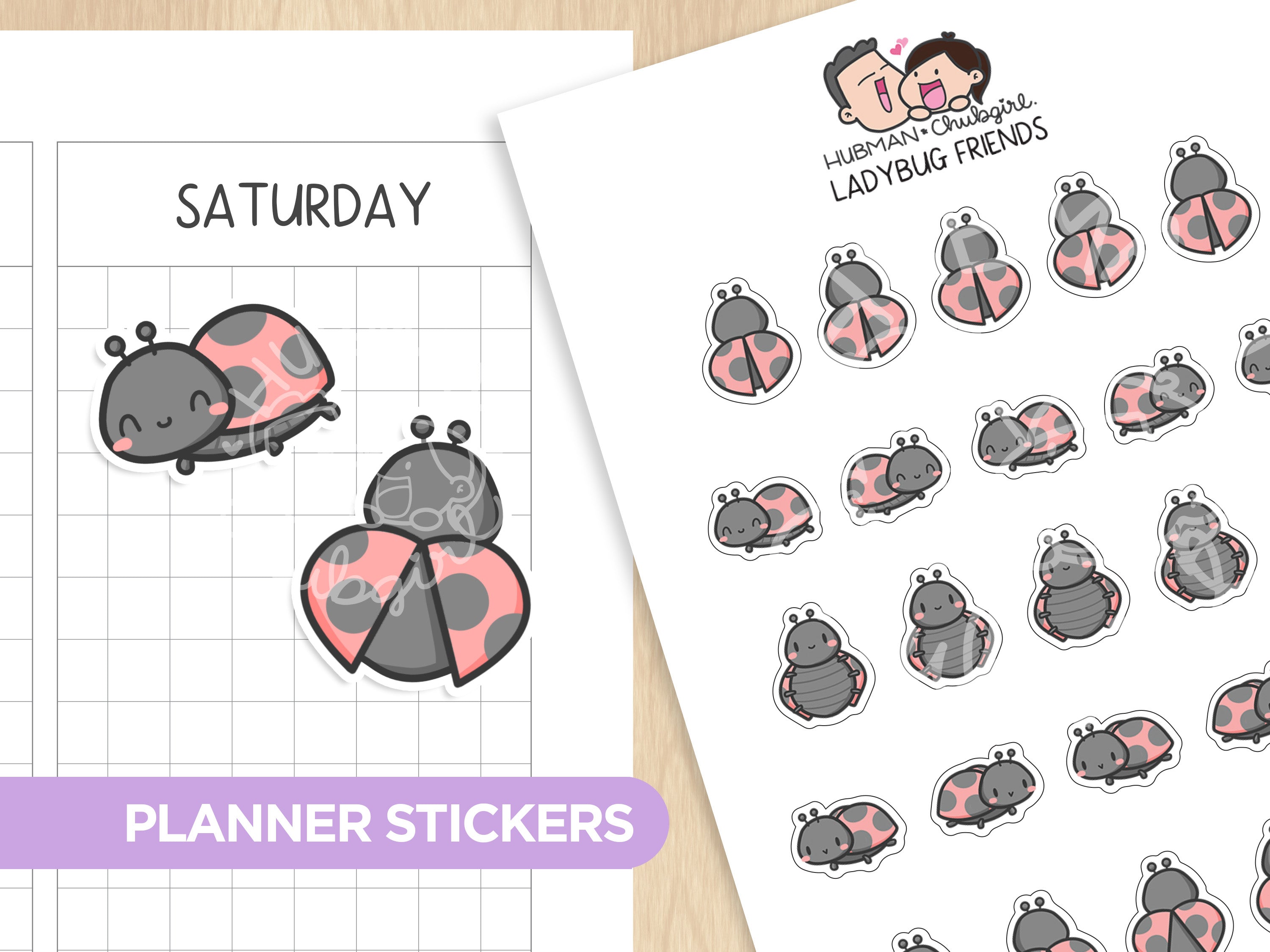 Sunflower Critters Sticker Set