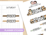 Squirrelly Acorn - Months Planner Stickers