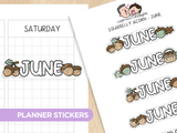 Squirrelly Acorn - Months 2 Planner Stickers