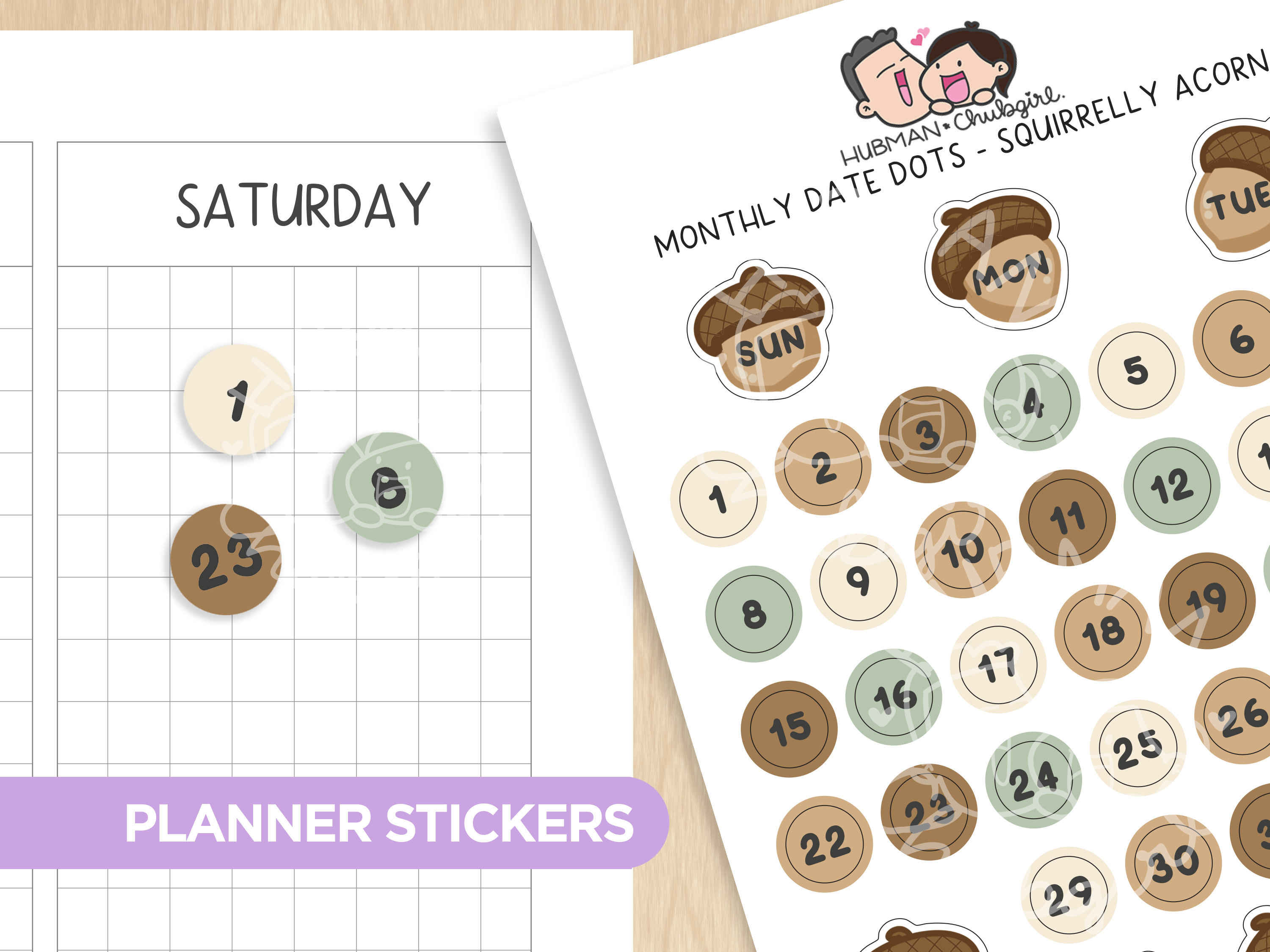 Monthly Date Dots - Squirrelly Acorn Planner Stickers