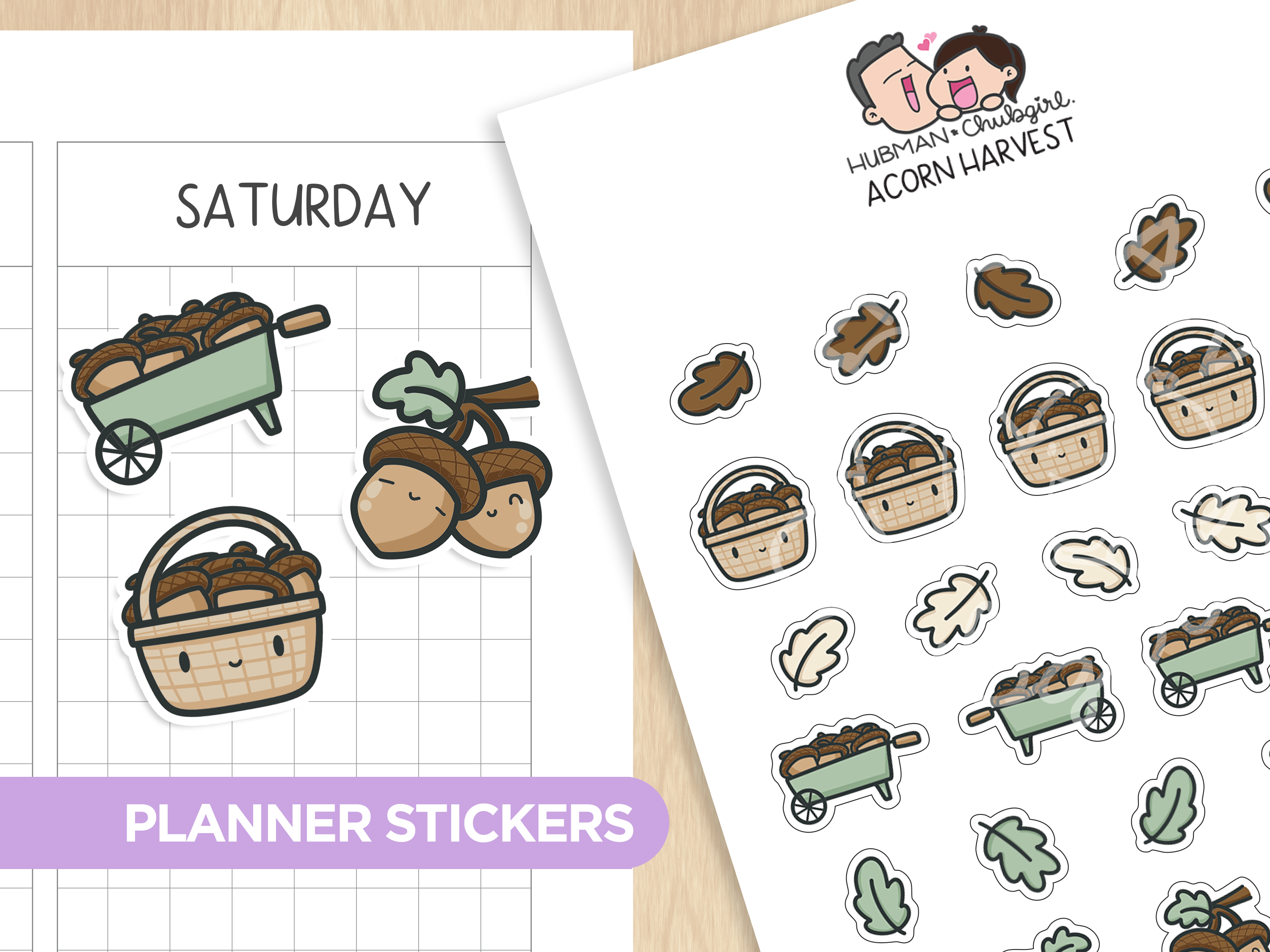 Acorn Harvest Planner Stickers