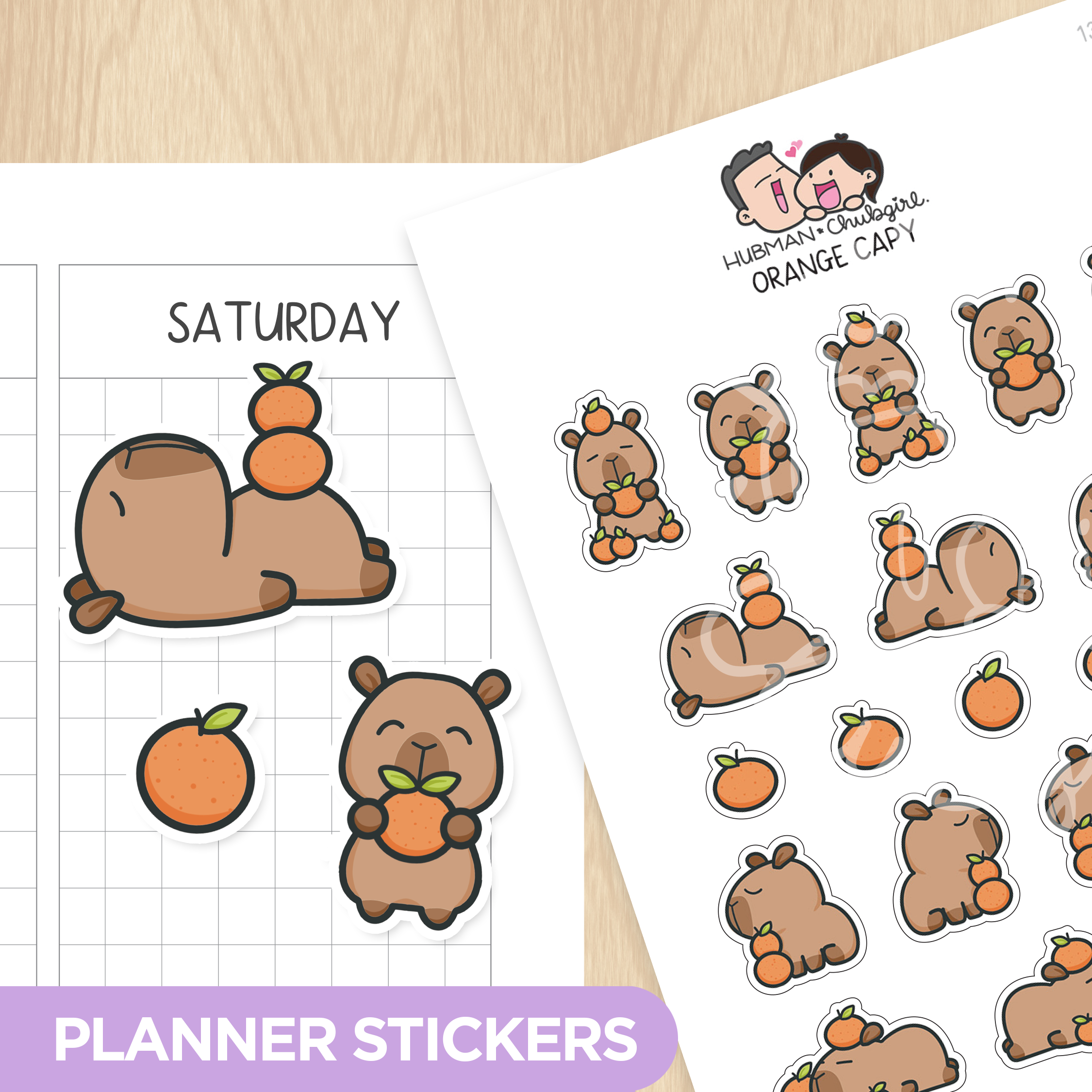 Autumn Capy Sticker Set