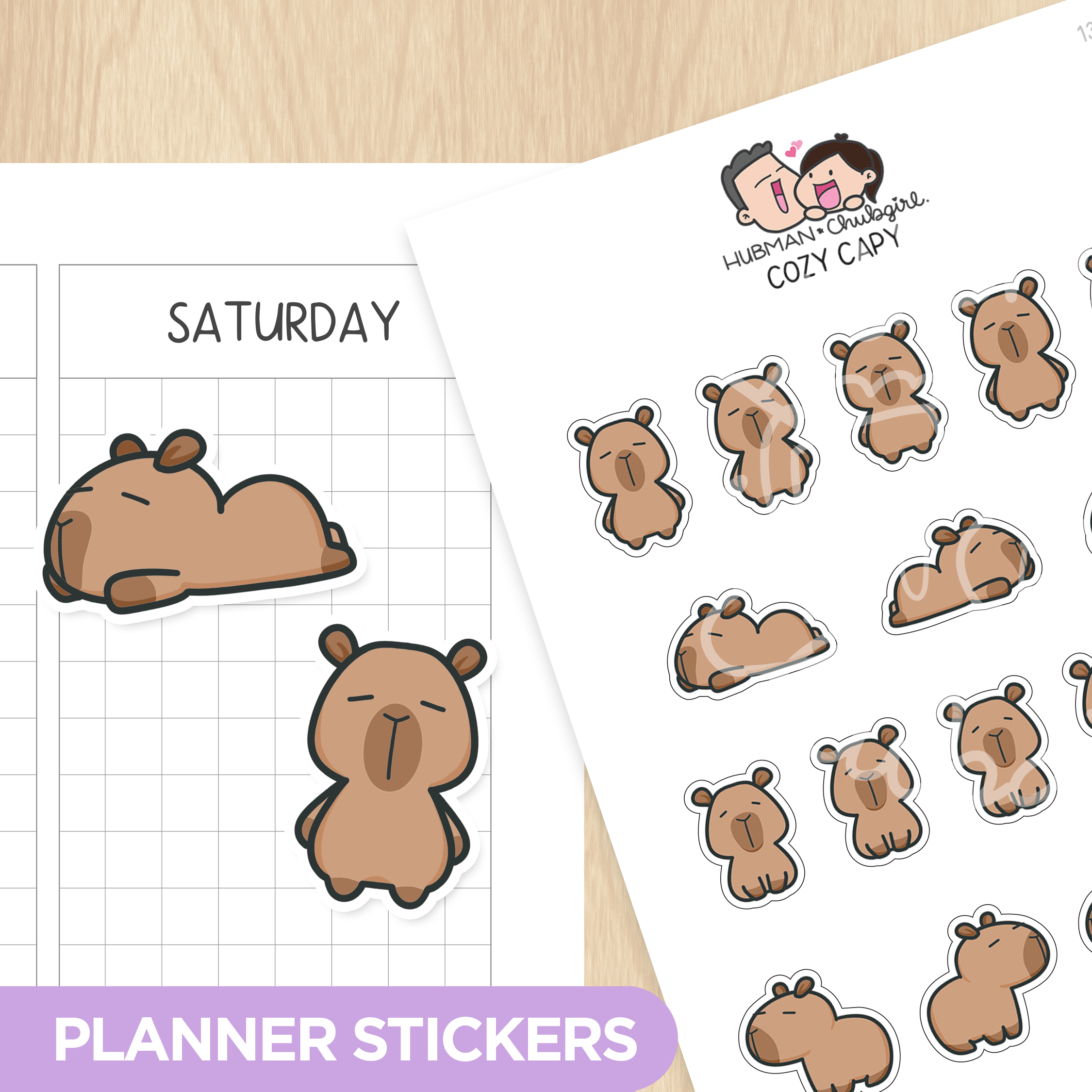 Autumn Capy Sticker Set