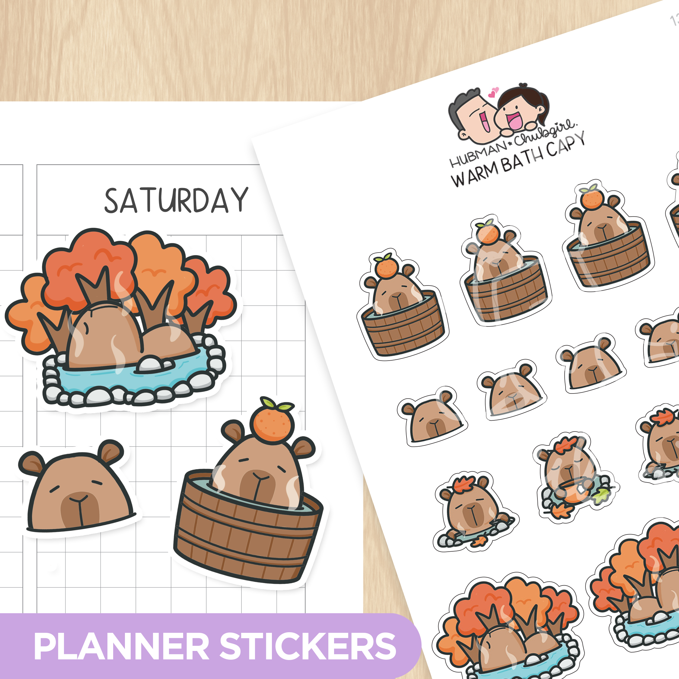 Autumn Capy Sticker Set