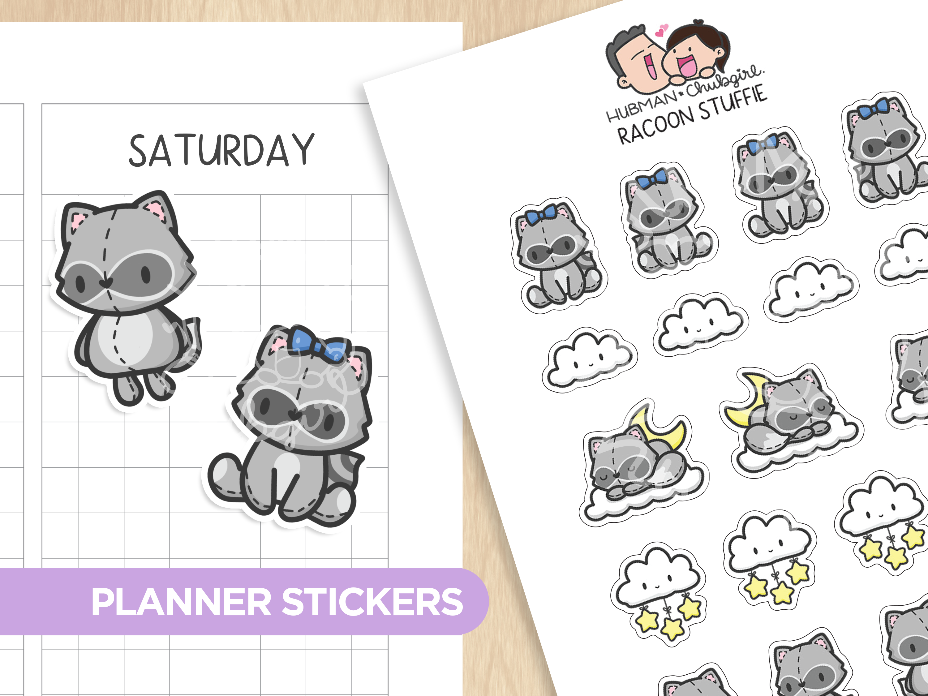 Raccoon Stuffie Planner Stickers