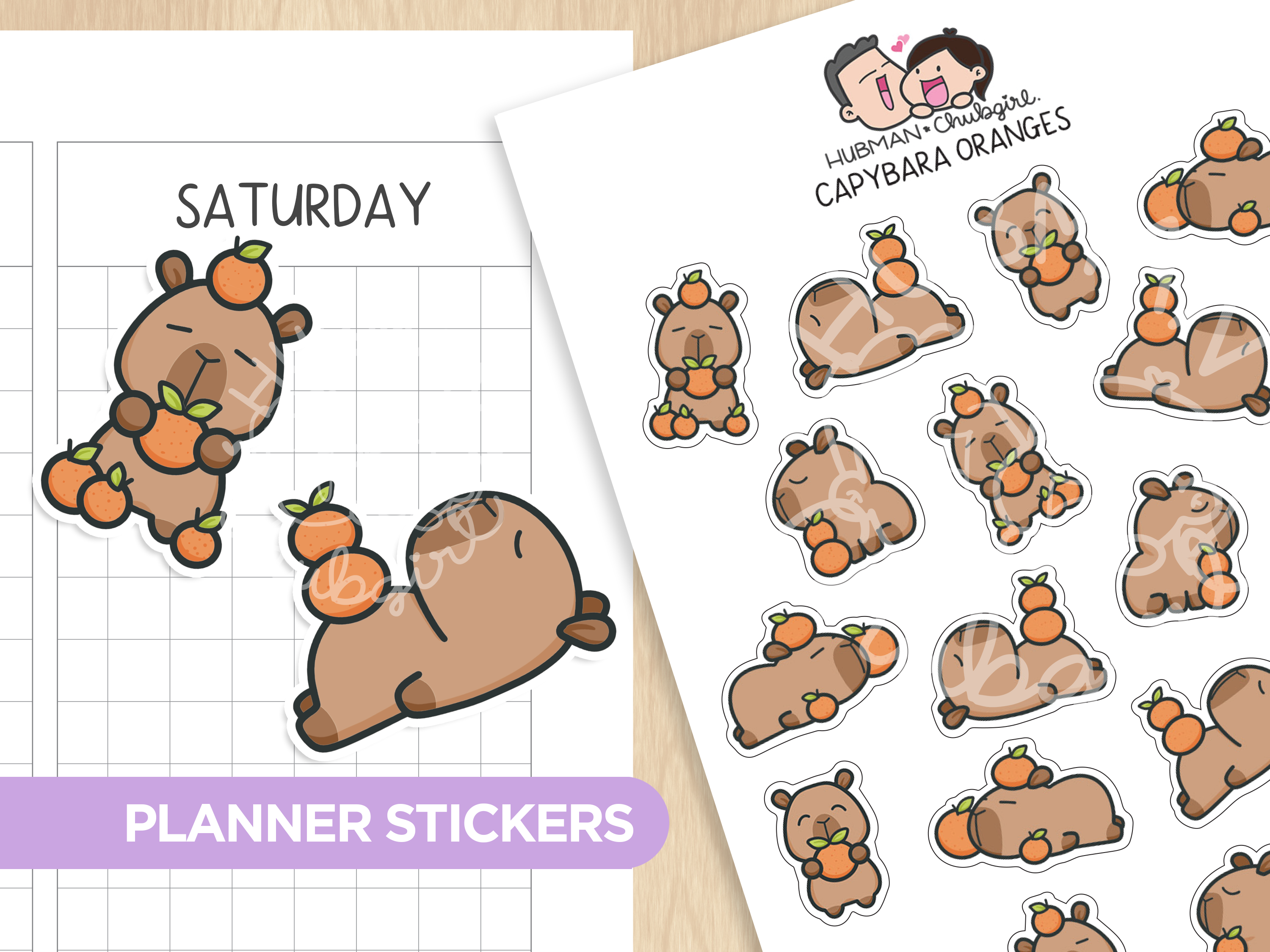 Capybara Oranges Planner Stickers