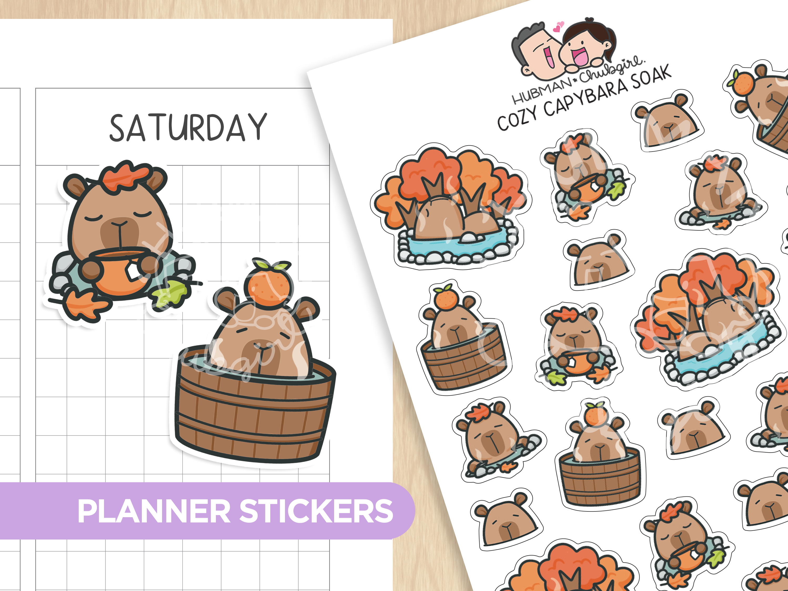 Cozy Capybara Soak Planner Stickers
