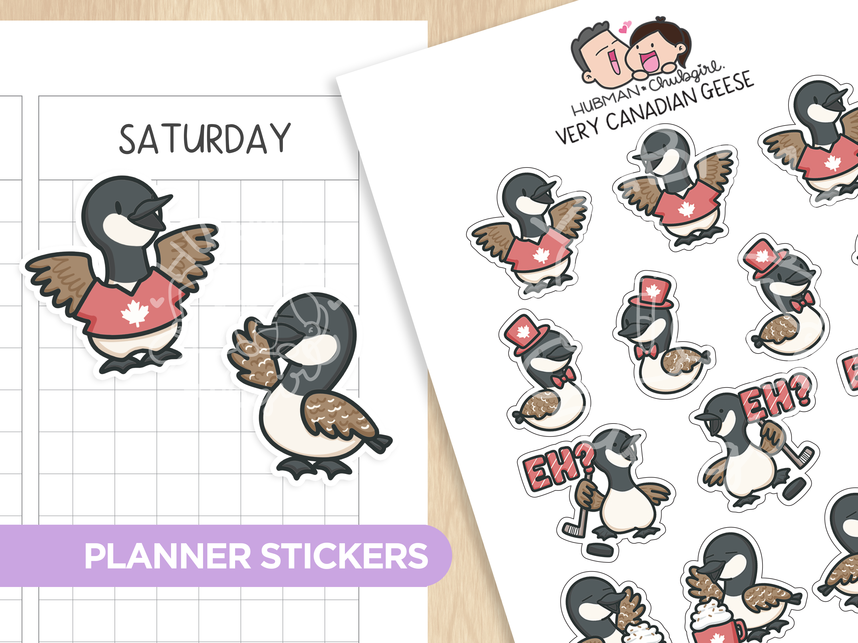 Very Canadian Geese Planner Stickers