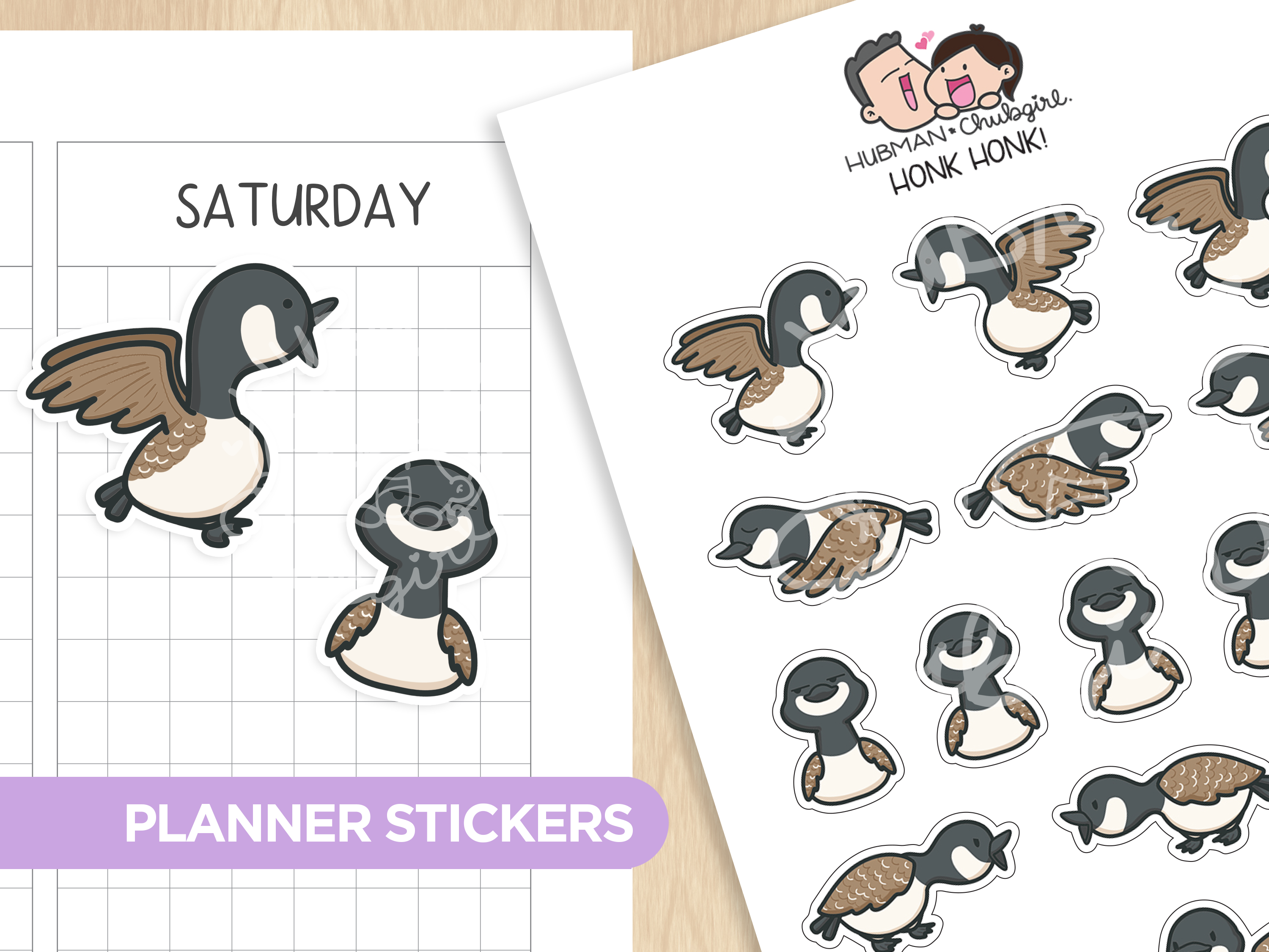 Canada Geese Sticker Set