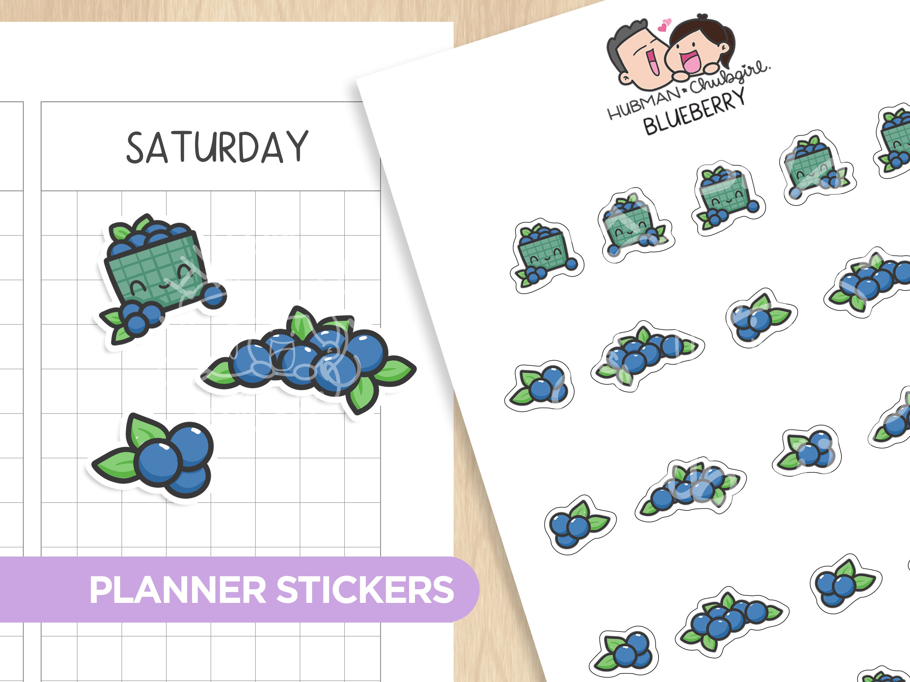 Blueberry Planner Stickers