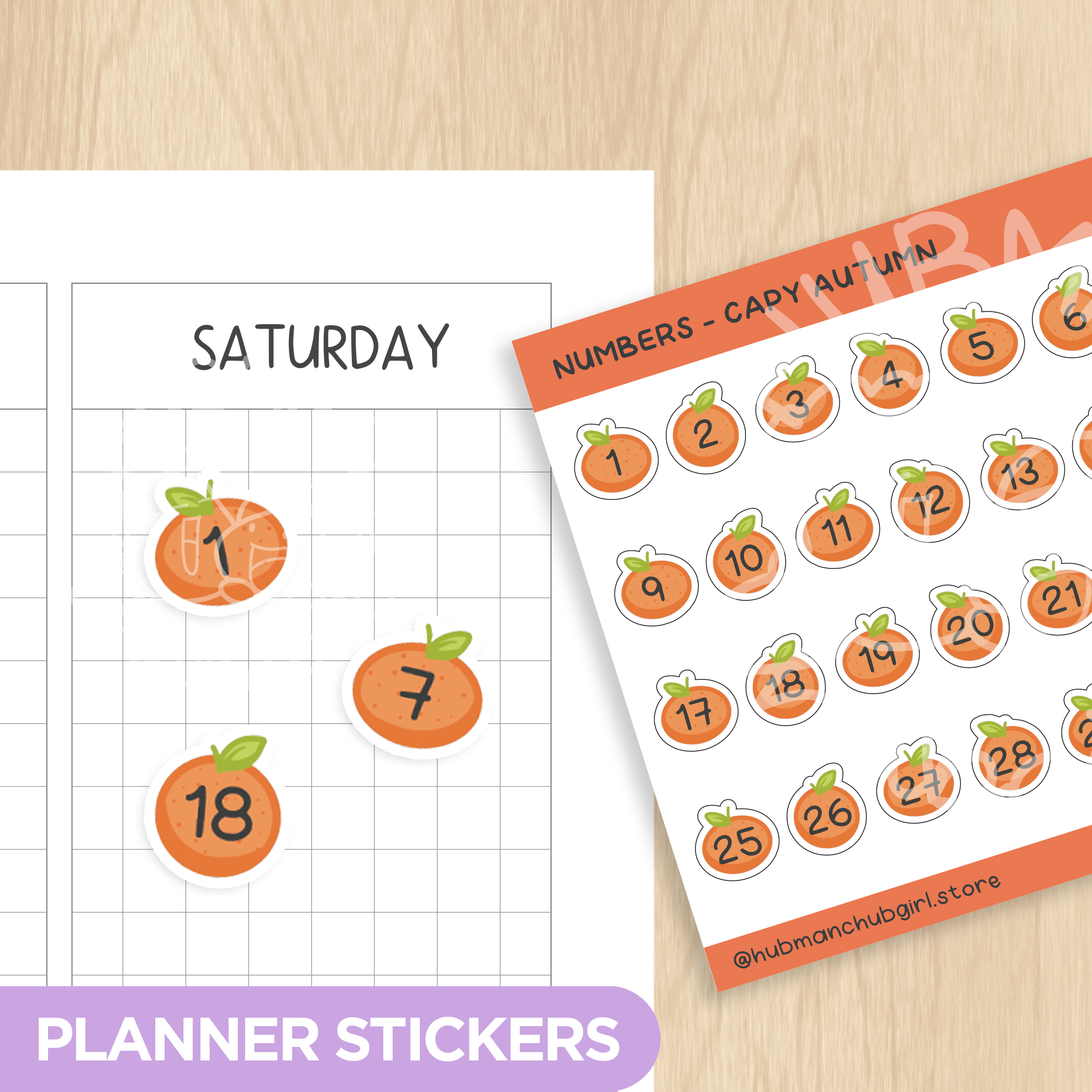 Numbers - Capy Autumn Planner Stickers