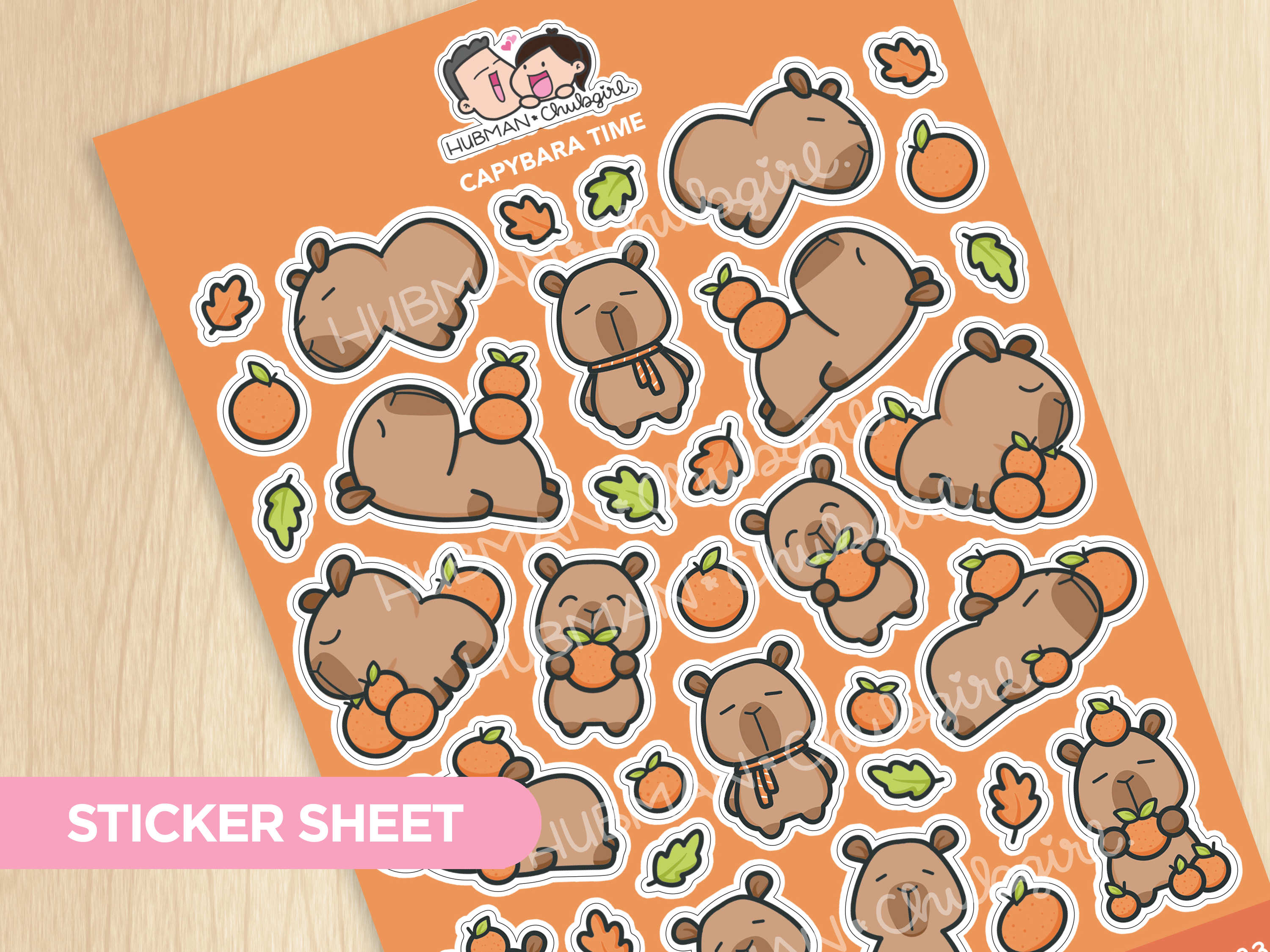 Capybara Time Sticker Sheet