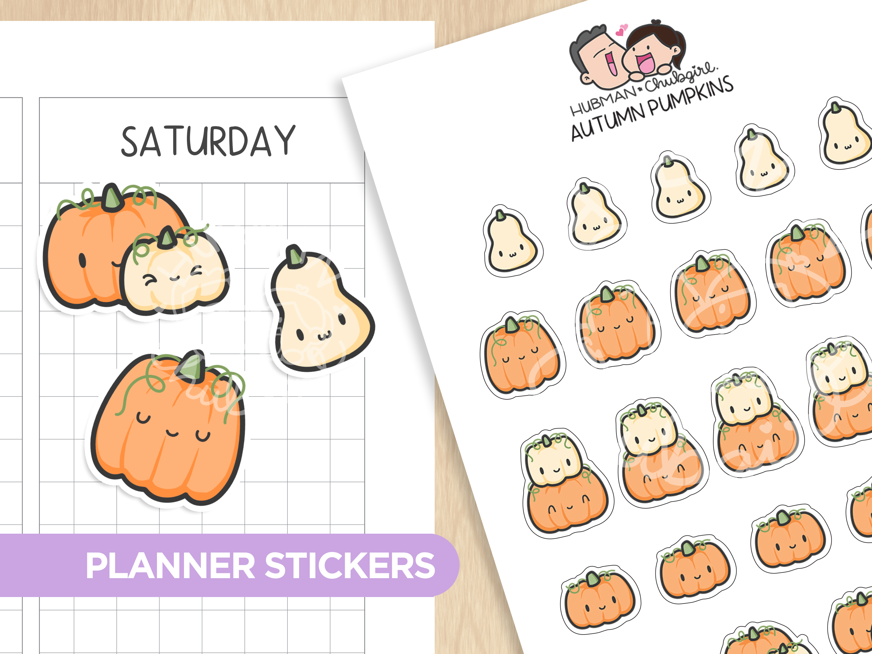 Autumn Pumpkins Planner Stickers