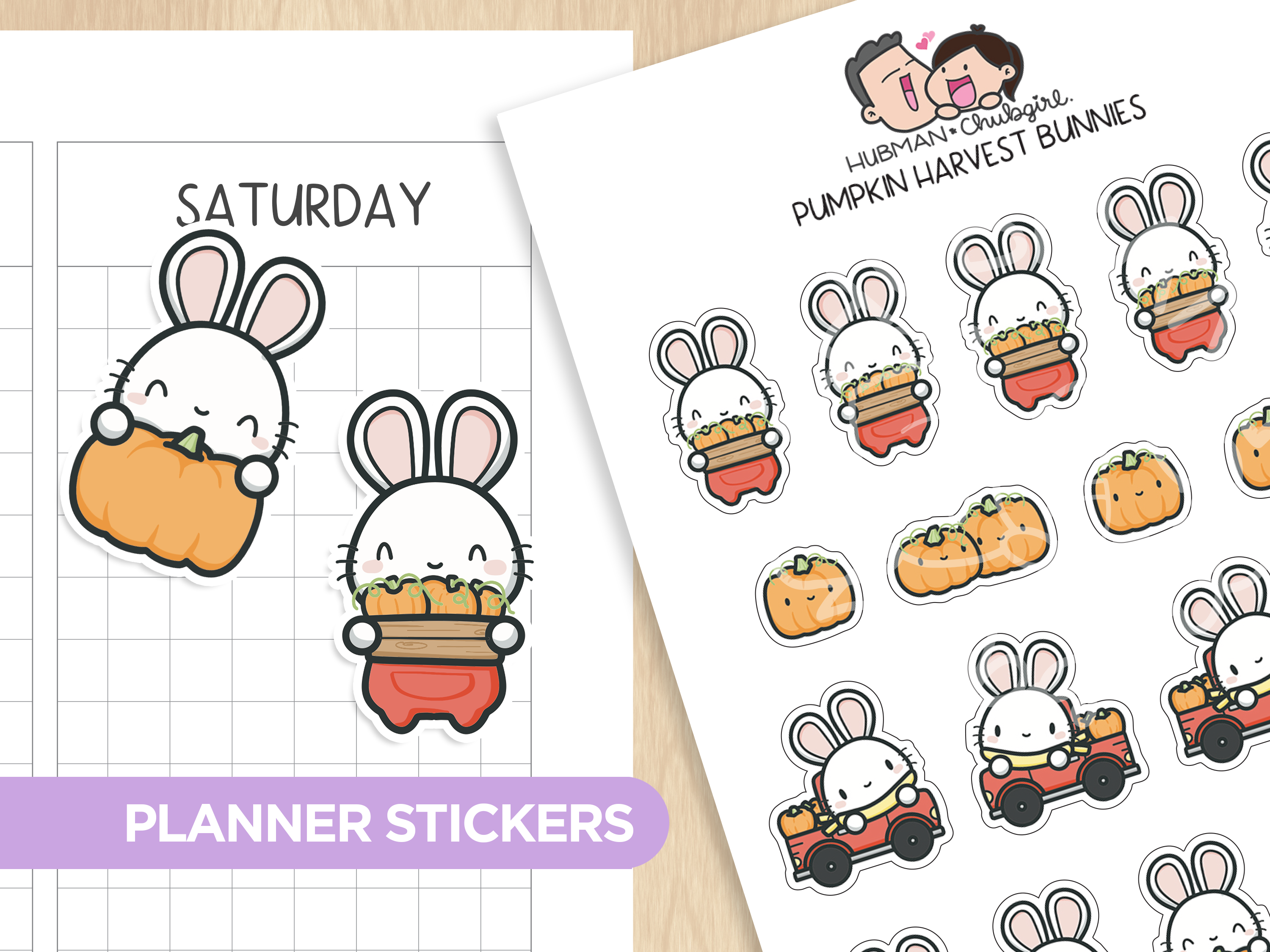 Autumn Bunnies Box Set