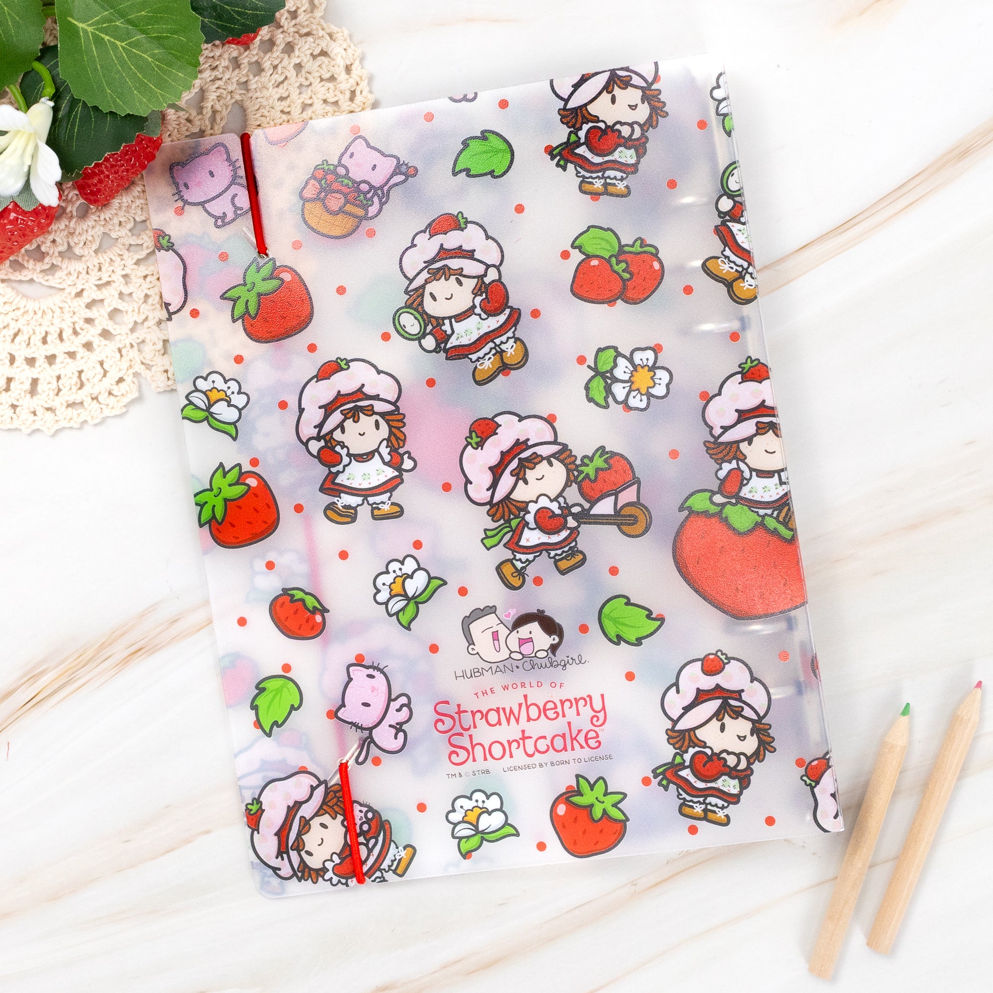 Strawberry Shortcake Sticker Storage Binder