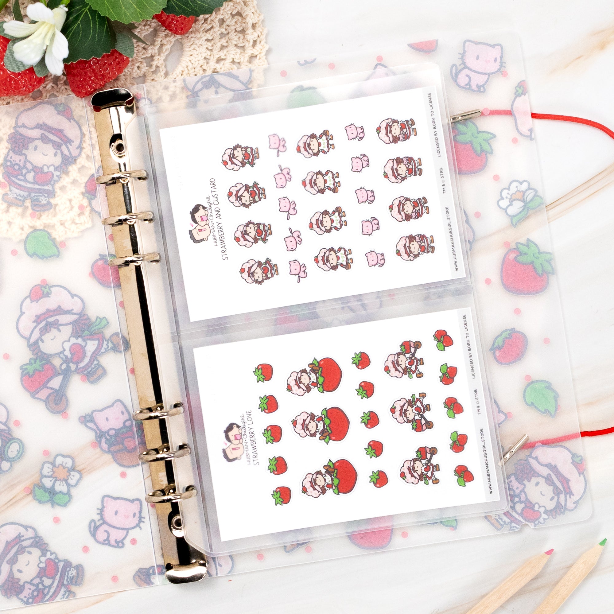 Strawberry Shortcake Sticker Storage Binder