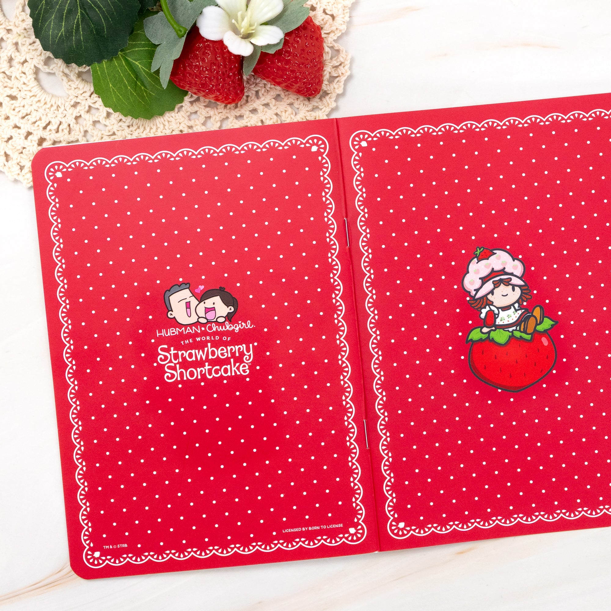 Strawberry Shortcake Reusable Sticker Album