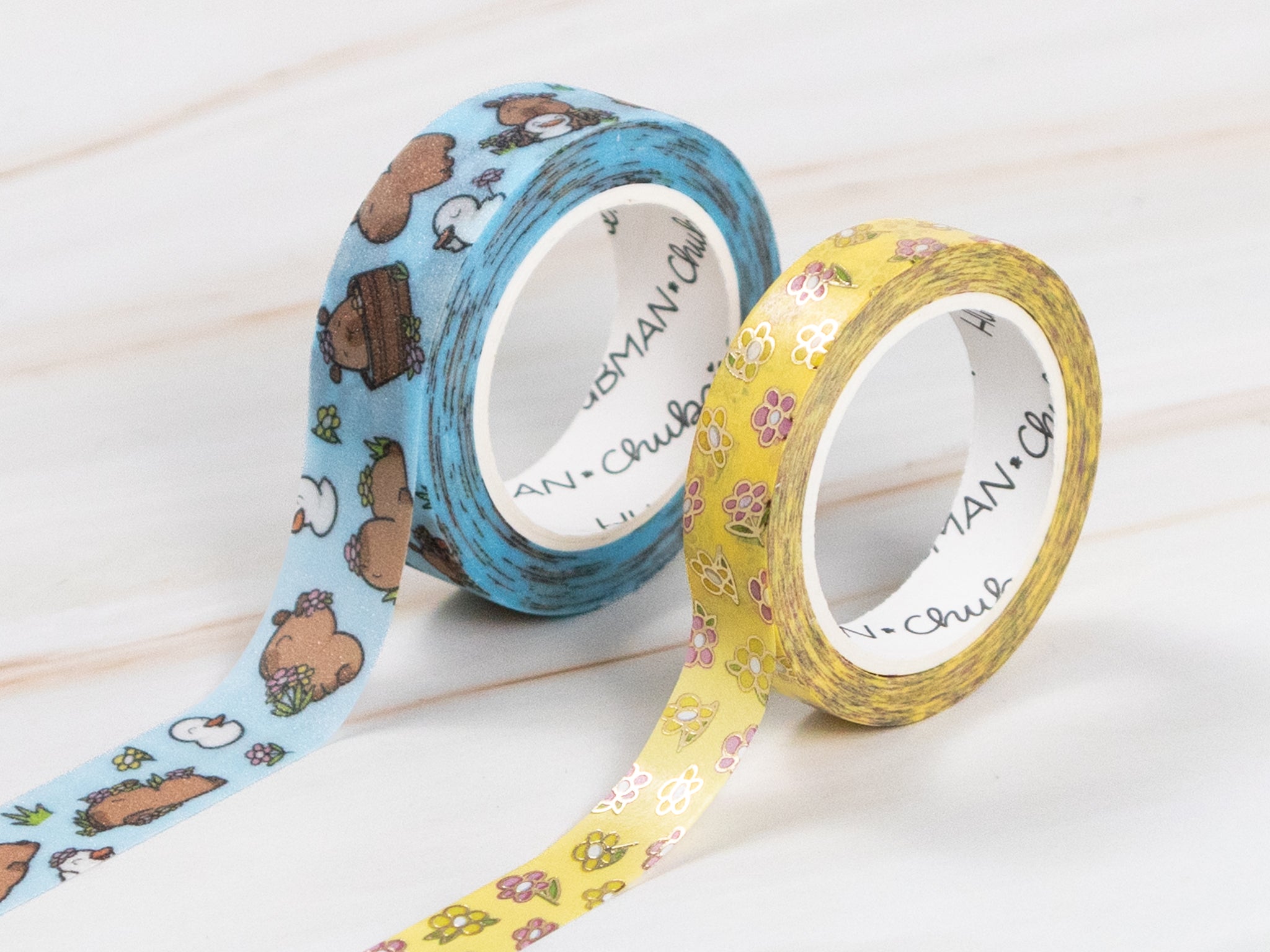 Capy Spring Washi Tapes (Set of 2)