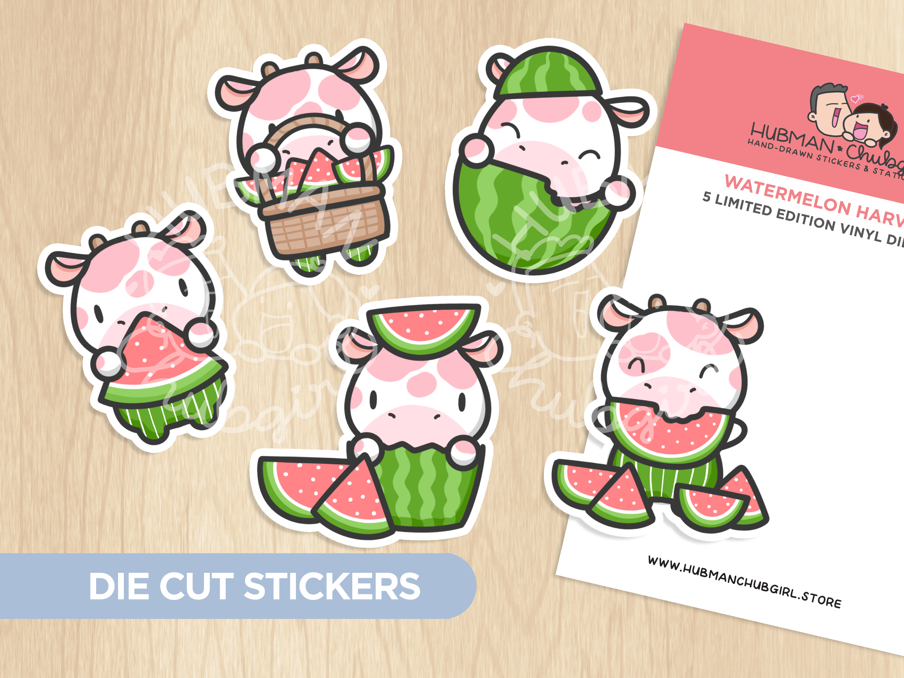 Summer Watermelon Sticker Set
