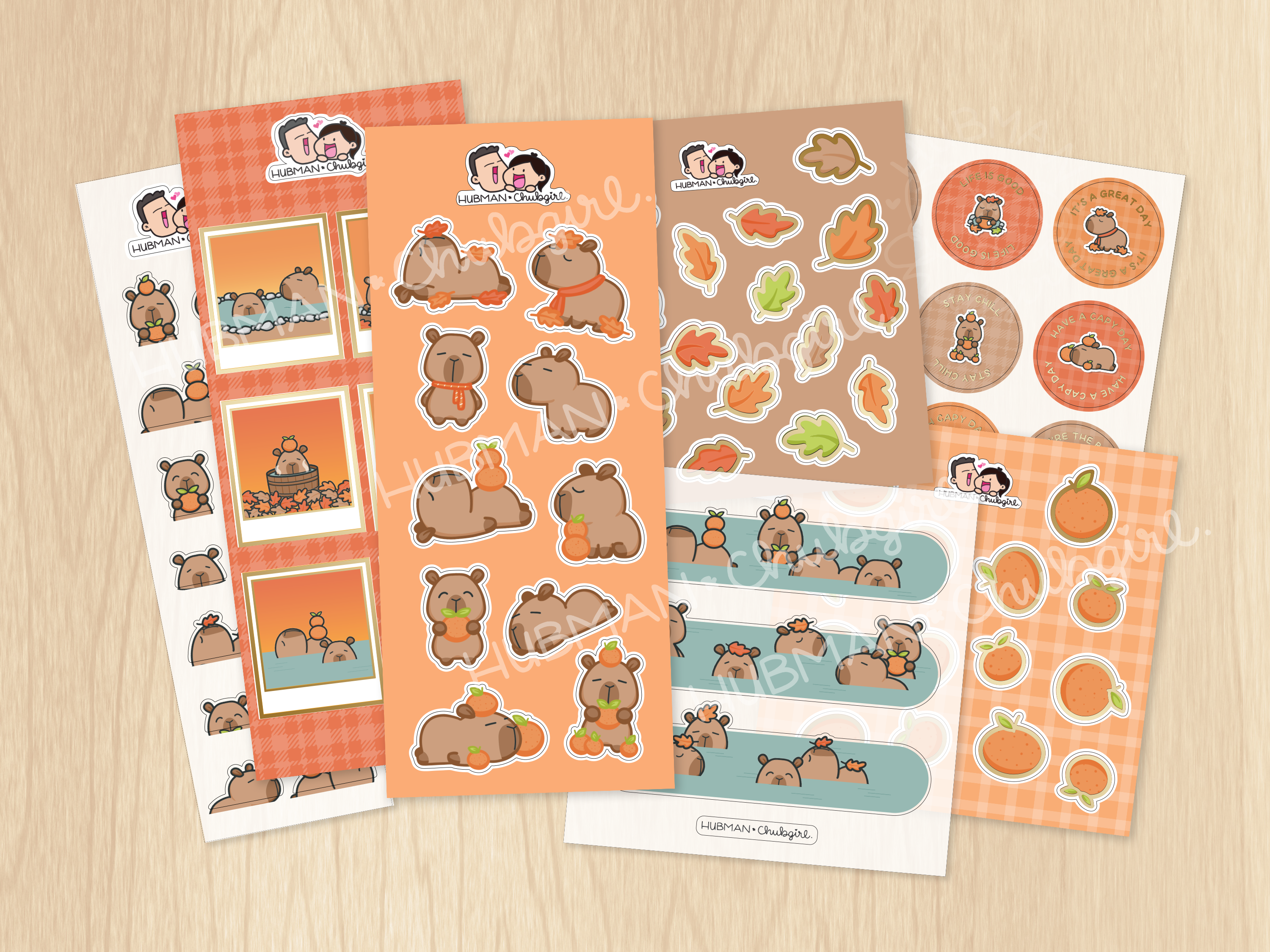 Autumn Capybaras Box Set