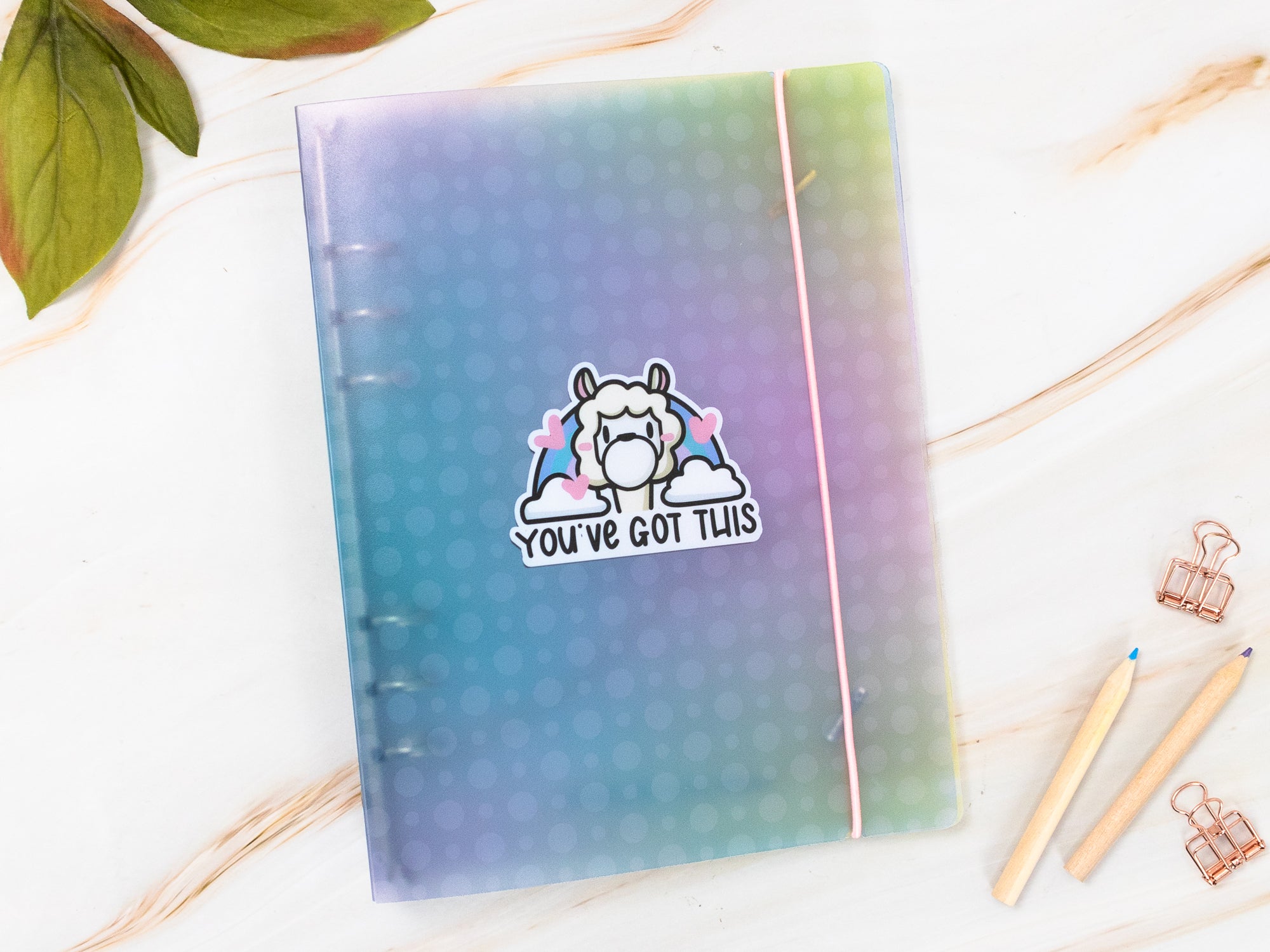Sticker Storage Binder - Positive Llamas Theme (S Size)