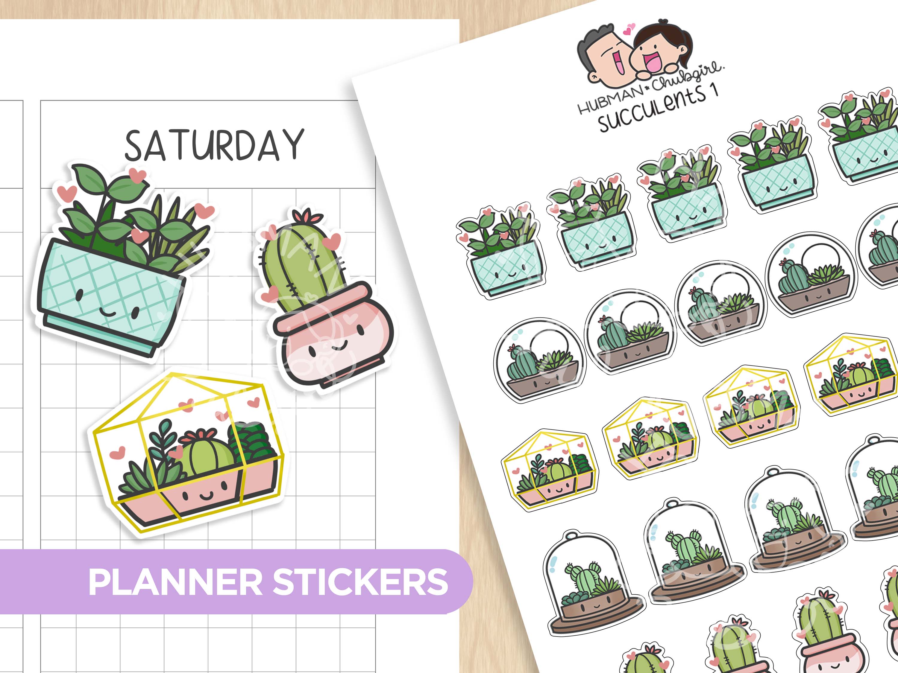 Succulents 1 Planner Stickers
